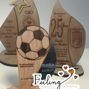 medallas y trofeos