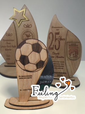 medallas y trofeos